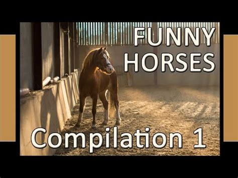 horse cumpilation|Horse cumpilation part 1 .